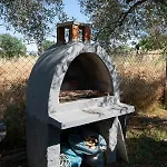 Casa Chrysi *